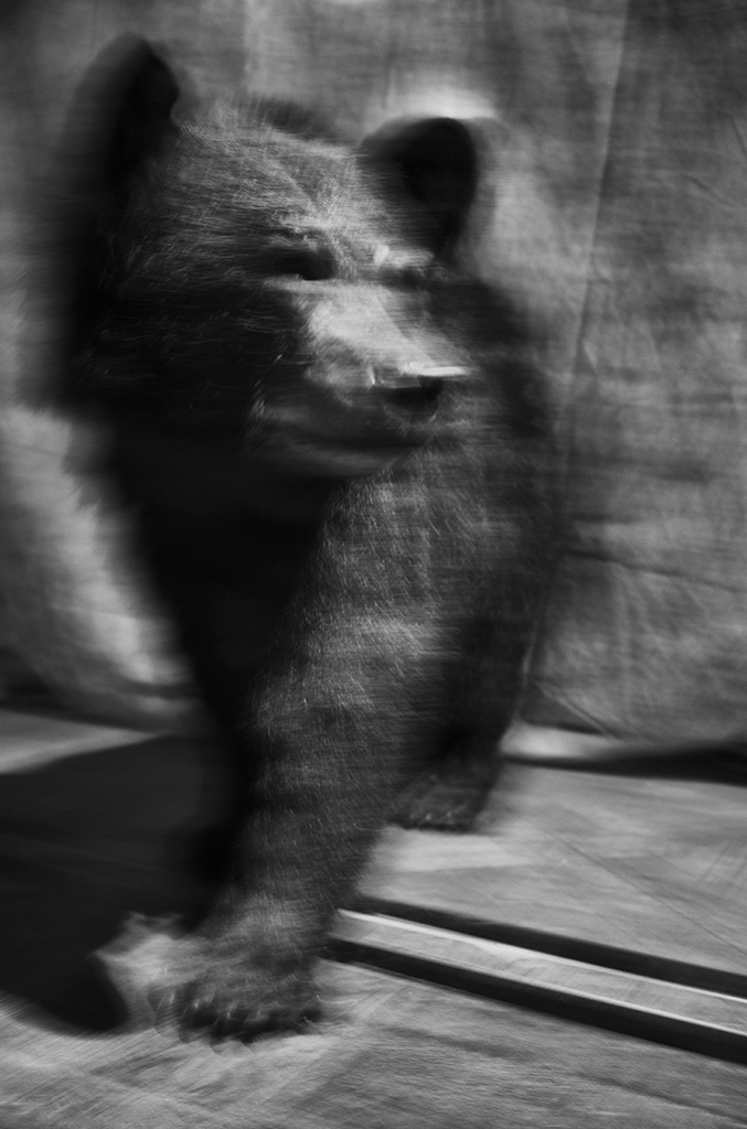 L1002978-Modifier
